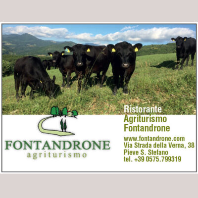 FONTANDRONE